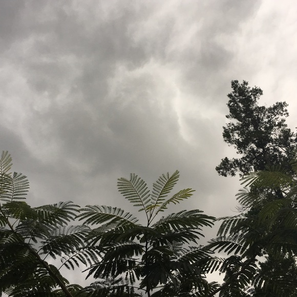 Meet your Posher, Kaylin - Picture 1 of 1